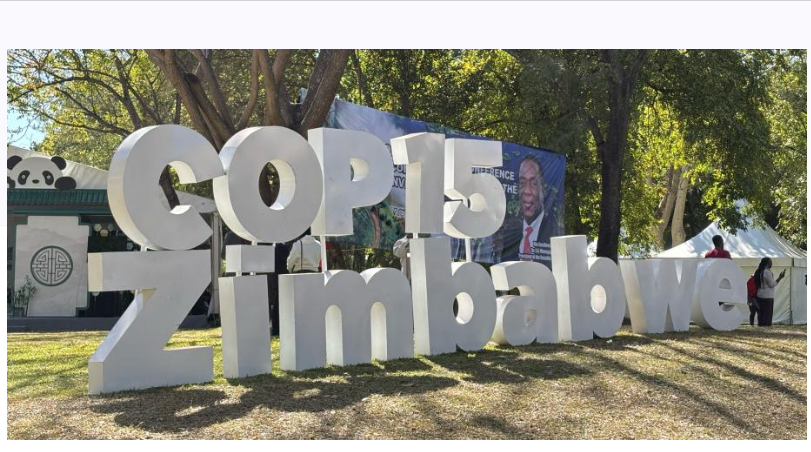 cop15 2025 09 20 114822