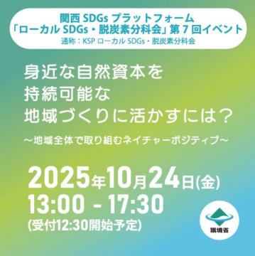 localsdgs 2025 10 16 155703