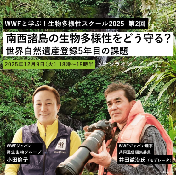 wwftomanabu 2025 12 04 103156