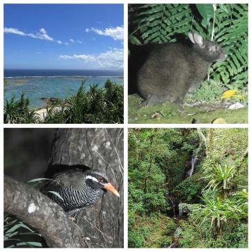 yanbarutiiki 2025 12 04 103613