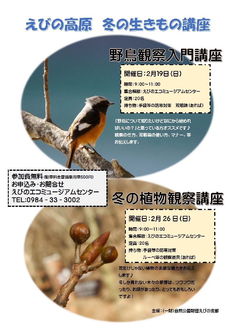 えびの 冬の観察会チラシ