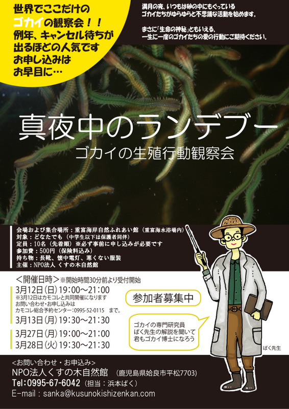 なぎさ 真夜中のランデブーちらし