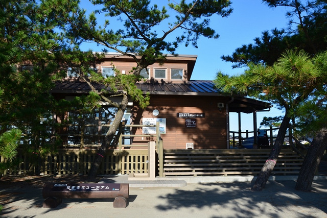 なぎさミュージアム