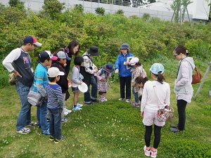 kujukusimavc10 guidewalk