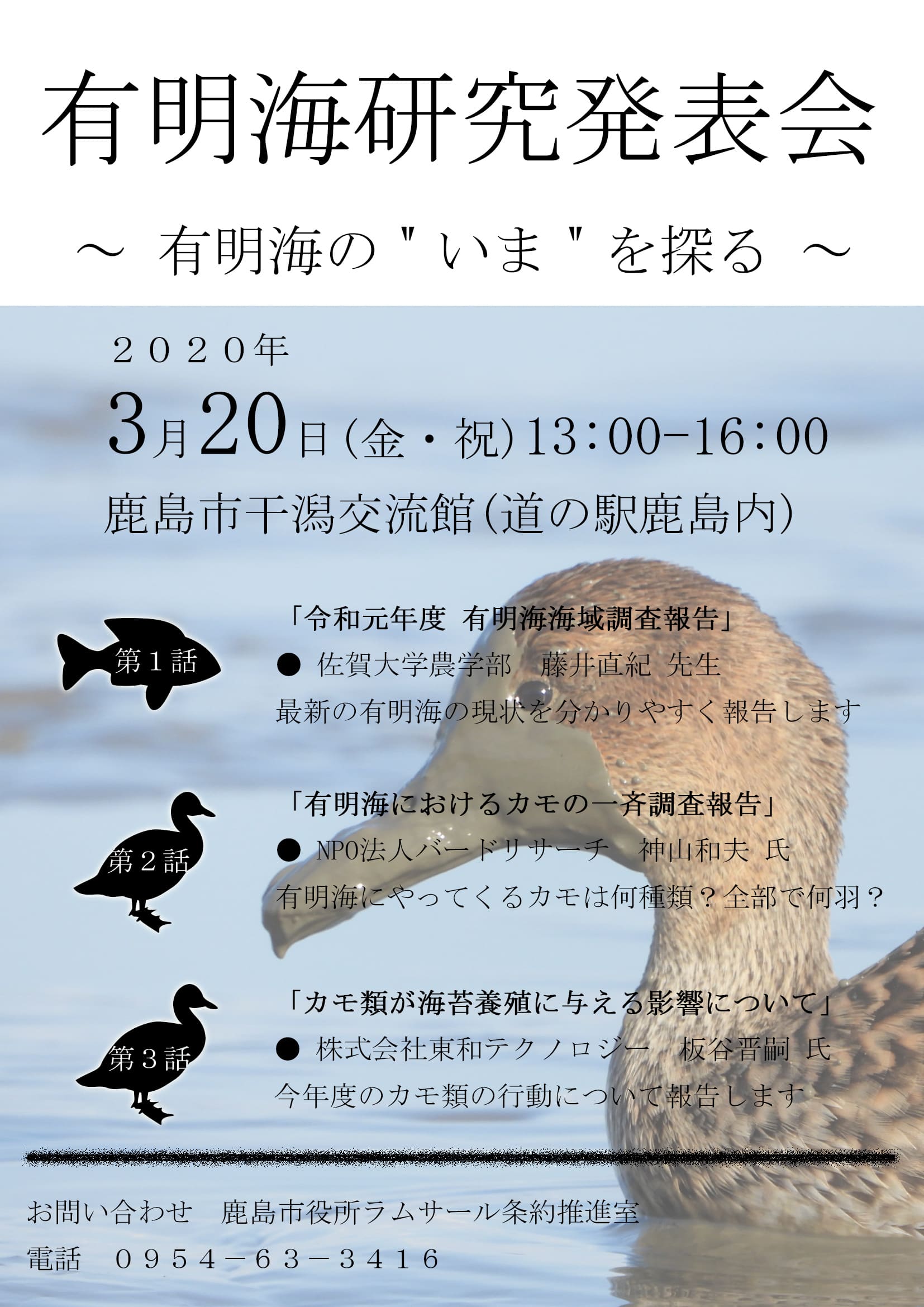 カラーチラシweb用 1