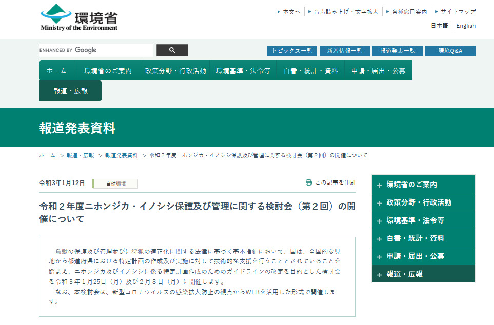 r2 nihonjika inoshishi kento