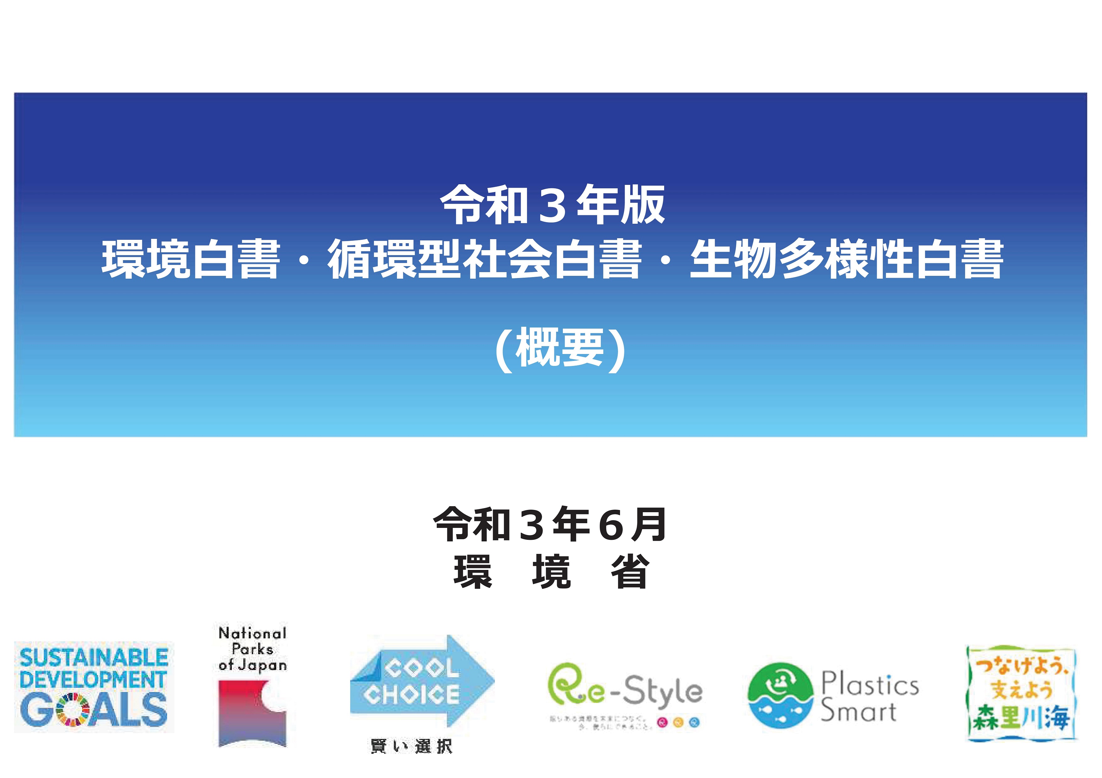 210608 R03hakusho gaiyou