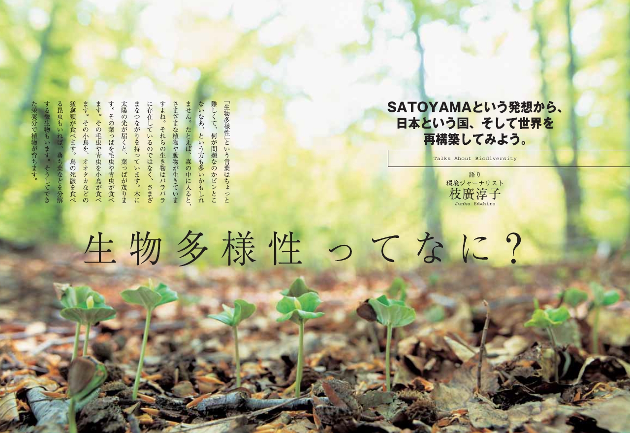 chibikoto biodiversity