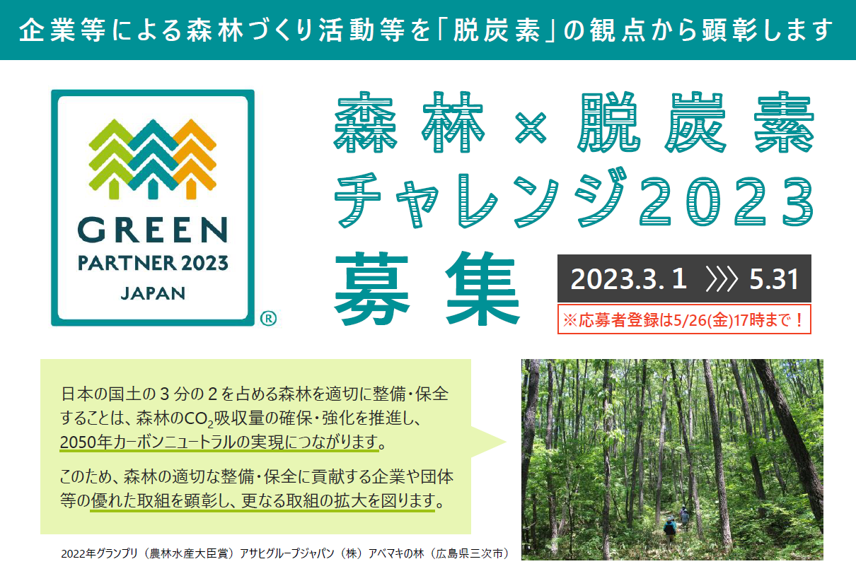 forest cnchallenge2023