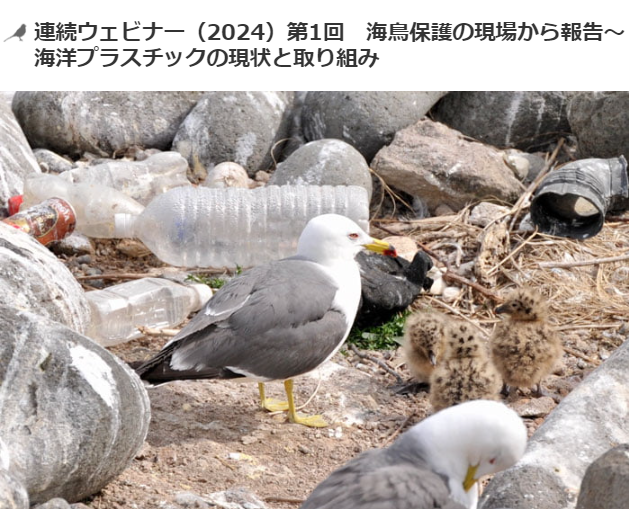 スクリーンショット 2024 04 24 100706