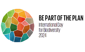 スクリーンショット 2024 04 27 141129