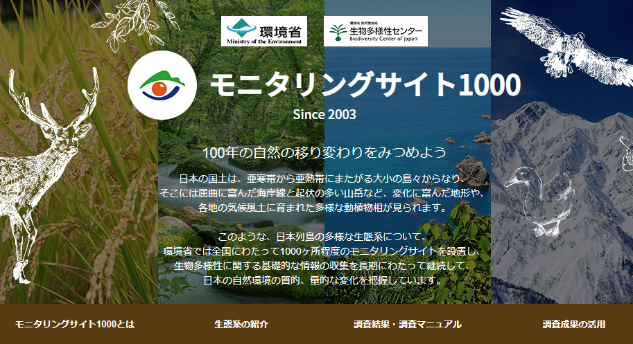 スクリーンショット 2024 08 24 113839