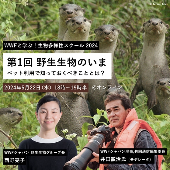 スクリーンショット 2024 05 18 102556