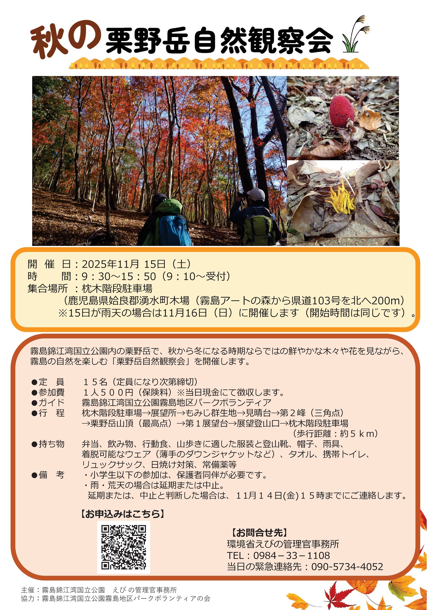 ebino kurino 2025 tate