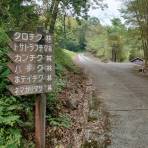 GreenGift地球元気プログラム:大分県日出町プログラム