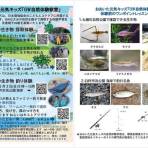 【5/2・5/3】おおいた元気キッズ「GW自然体験教室」