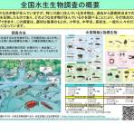 川の生きものを見つけよう! ~令和8年度全国水生生物調査を実施します~